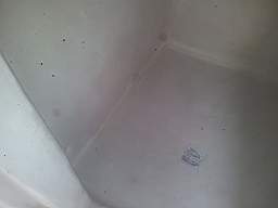 decorative 11070.jpg